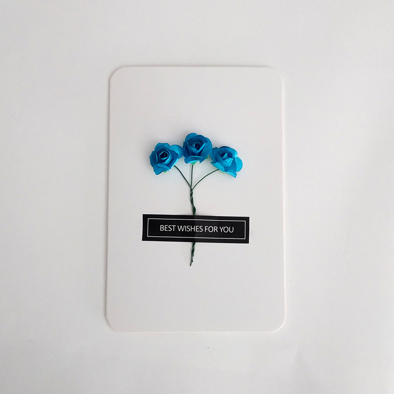 Thiệp hoa nền trắng - Postcard, hoa thật ép khô