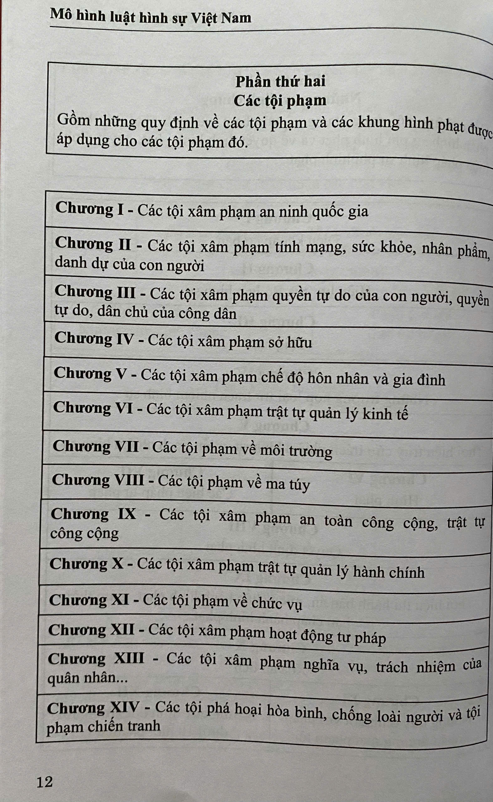 Mô Hình Luật Hình Sự Việt Nam