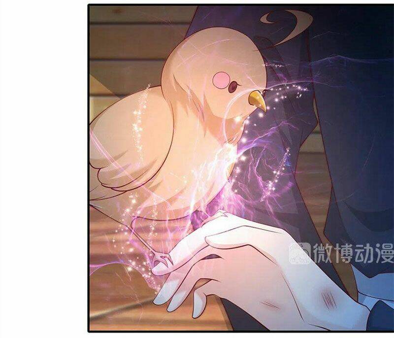 nam thần truy thê chỉ nam chapter 107.2 18