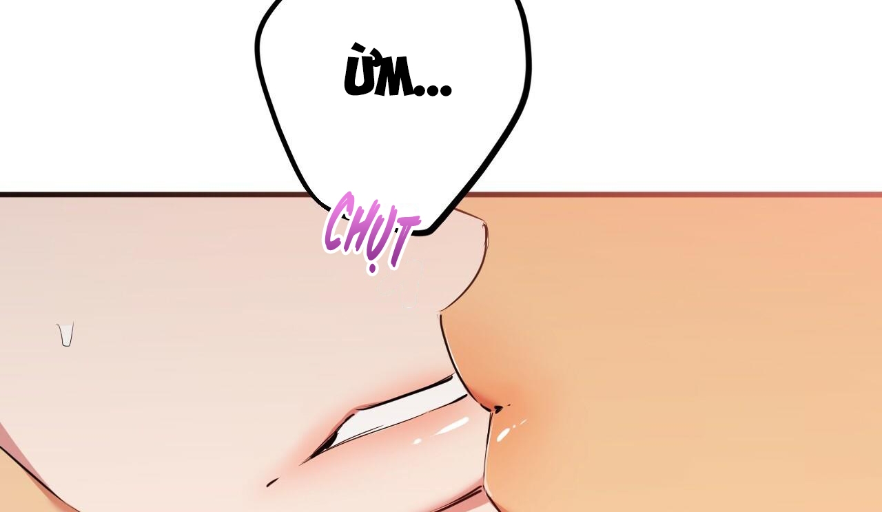 đàn thỏ của habibi chapter 38 207