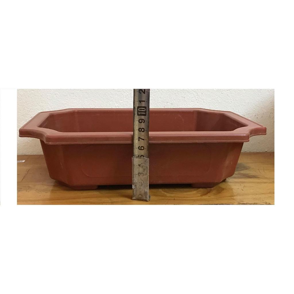 Combo 5 Chậu Nhựa Trồng Cây Mini Hình Chữ Nhật Màu Nâu Siêu Đẹp Kích Thước 28x20x8 Cm