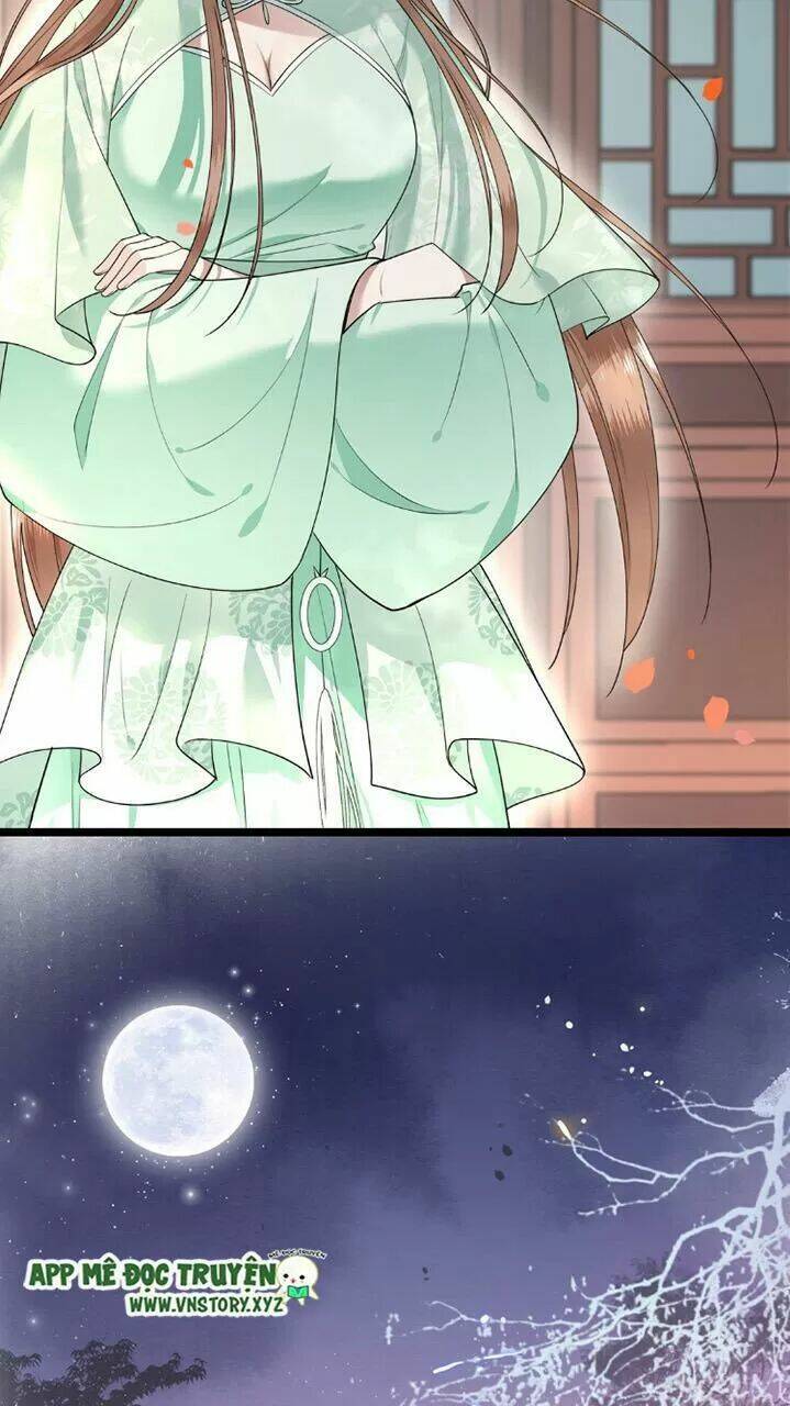 phượng hoàng vu phi chapter 47 21