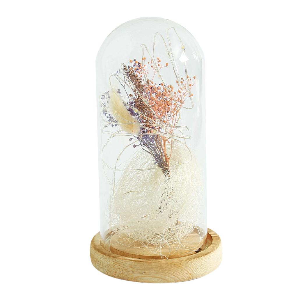 Clear Glass Lamp Night Lamp Ornament Flower LED Light in Glass