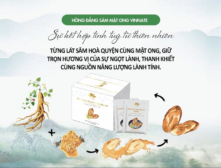 Hồng Đẳng Sâm Mật Ong VInnate