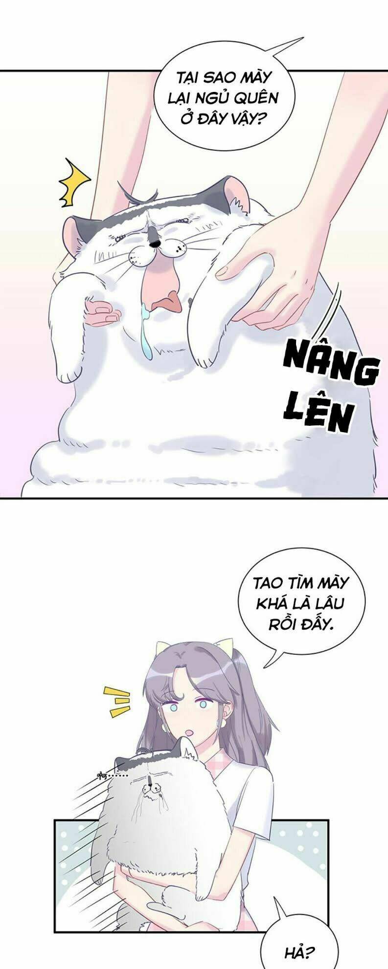 ứng cử viên hôn phu của ta chapter 0 17