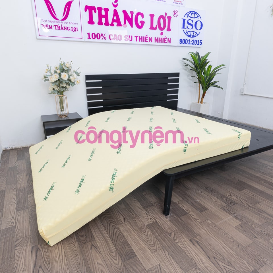 Nệm foam cao cấp TL Tundo có massage