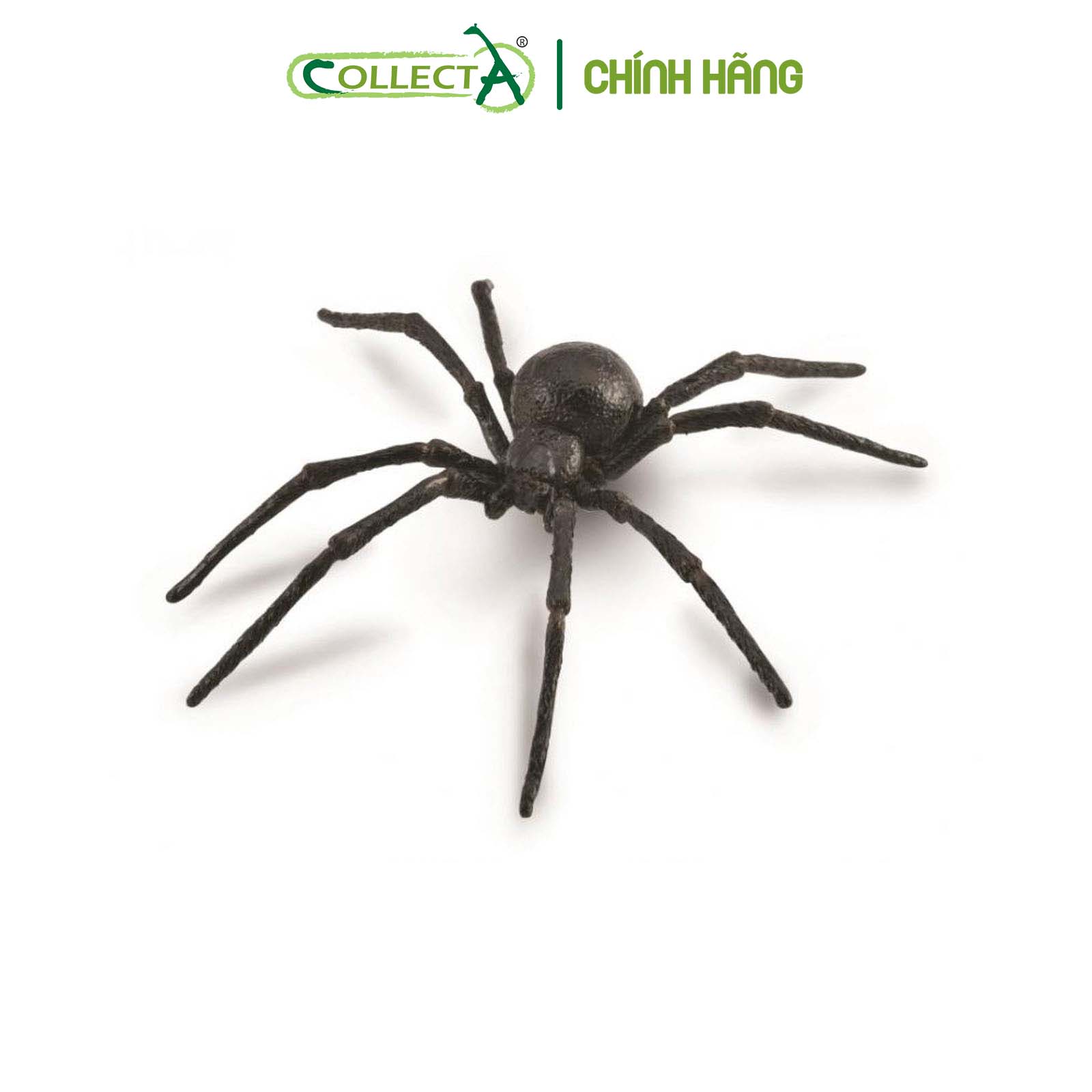 Mô hình thu nhỏ: Nhện Goá Phụ Đen - Black Widow Spider, hiệu: CollectA, mã HS 9653010[88884] -  Chất liệu an toàn cho trẻ - Hàng chính hãng