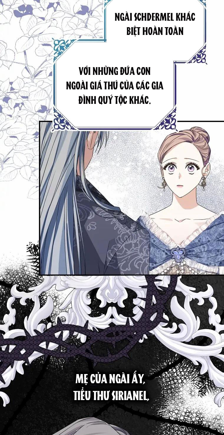 aster yêu dấu của tôi chapter 6 12