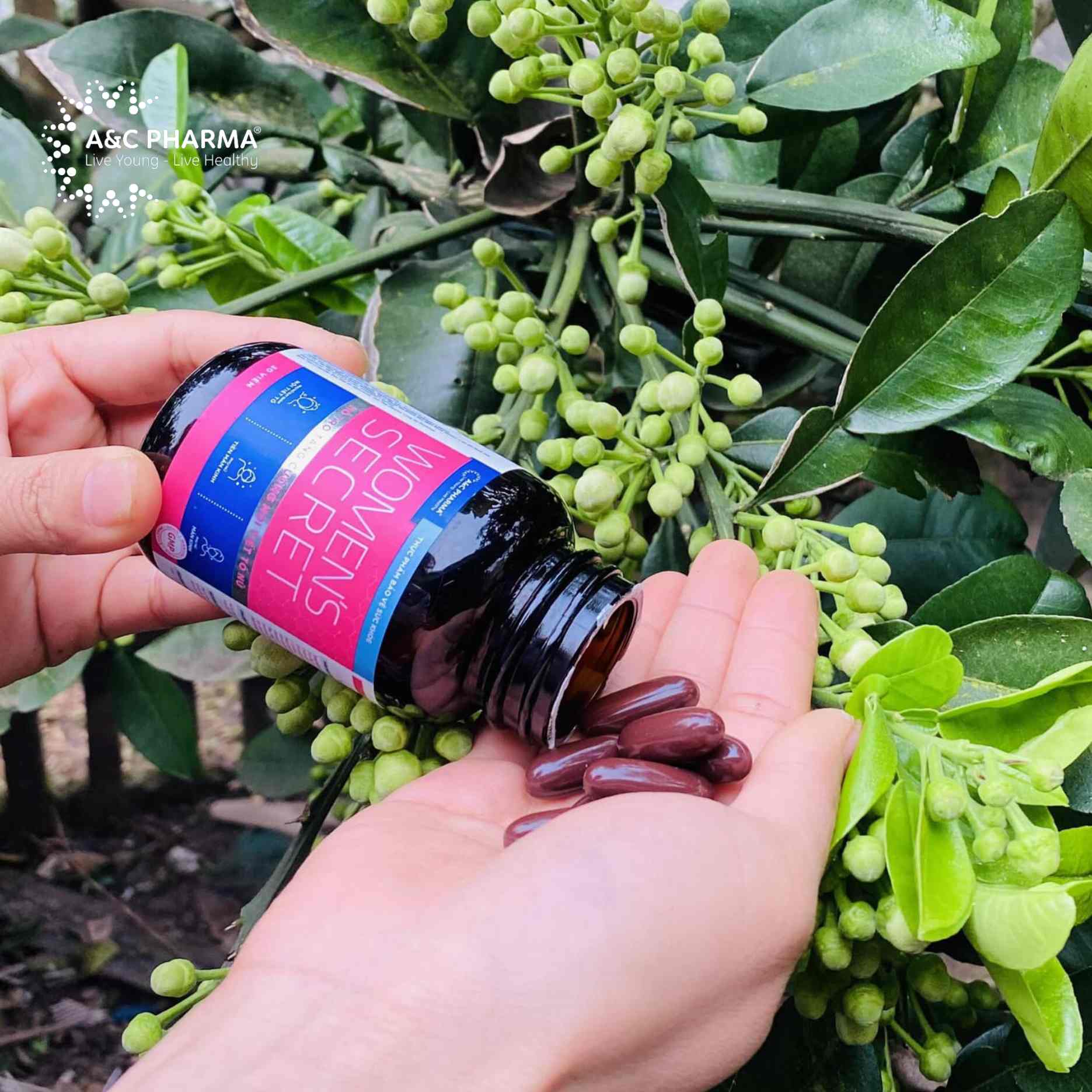 Viên uống Bổ sung Điều hòa Nội tiết tố nữ WOMEN'S SECRET A&C PHARMA