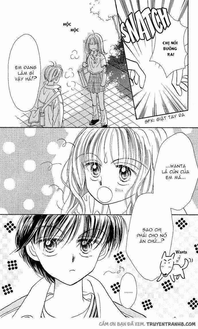 milk to vitamin chapter 8 28