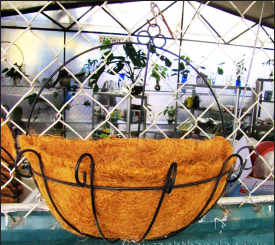 Chậu xơ dừa khung sắt đính tường trồng hoa cây cảnh khung sắt 25 cm đẹp mắt