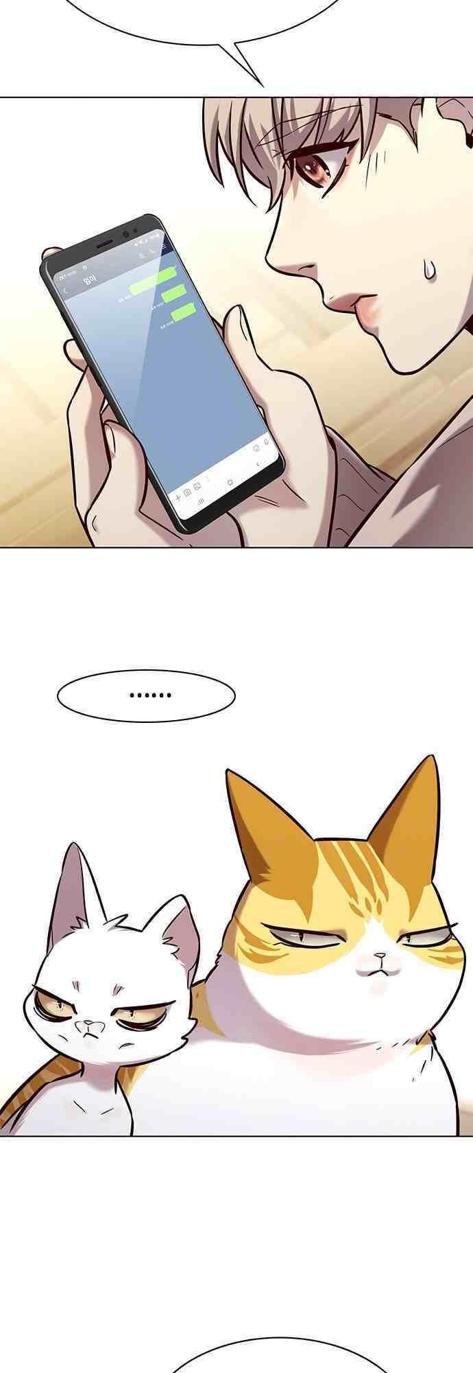 biến thân thành mèo chapter 231 8