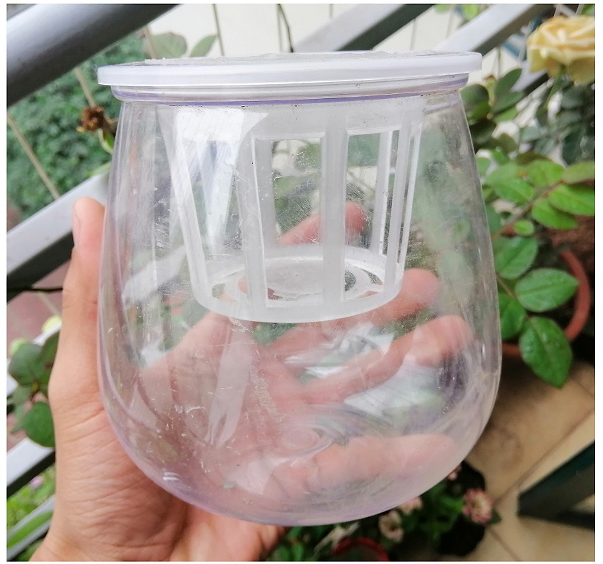 ComBo 5 Chậu Nhựa Trồng Cây Thủy Sinh, Kích Thước 10x10x13Cm