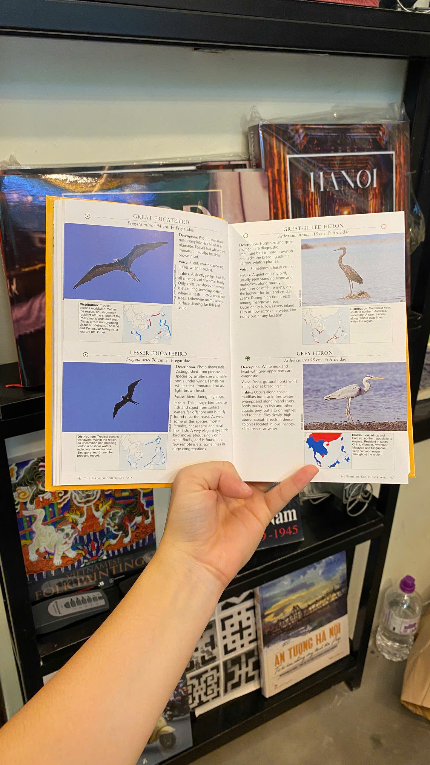 Sách - A Photographic Guide to the Birds of Southeast Asia | Nature / Ngoại văn Nhập khẩu