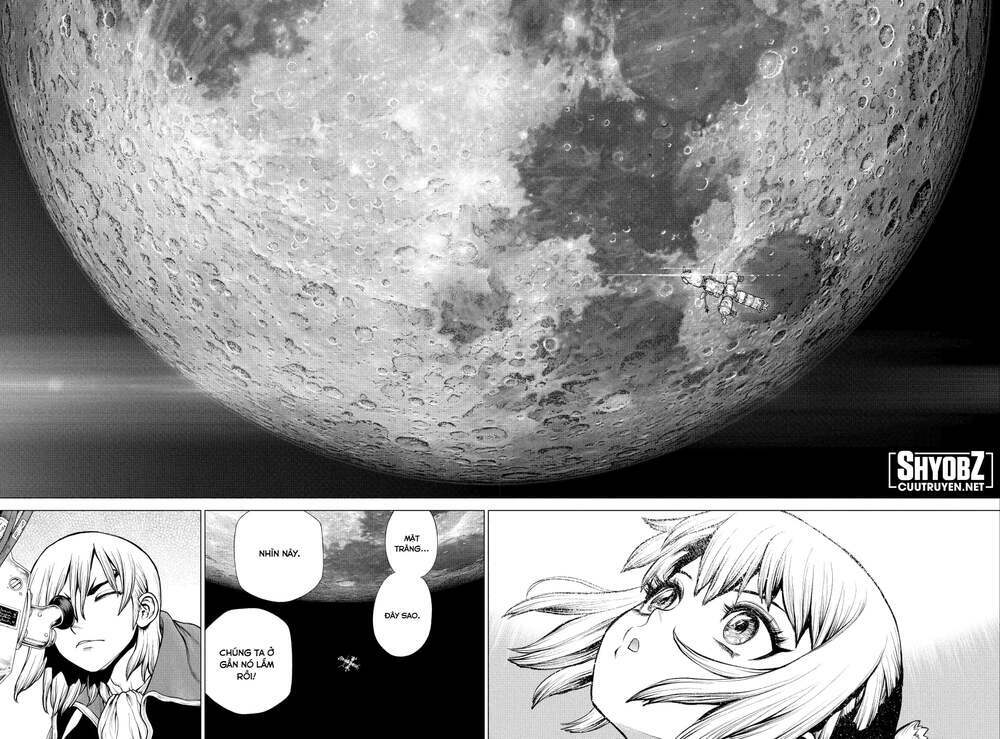 dr.stone - hồi sinh thế giới chapter 226 12