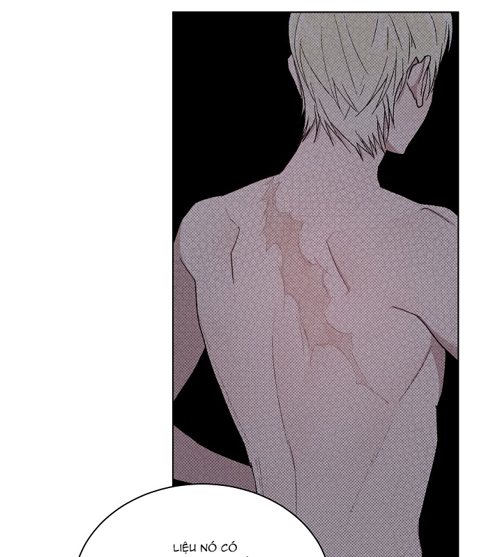 chàng tuấn mã của tôi chapter 33 42