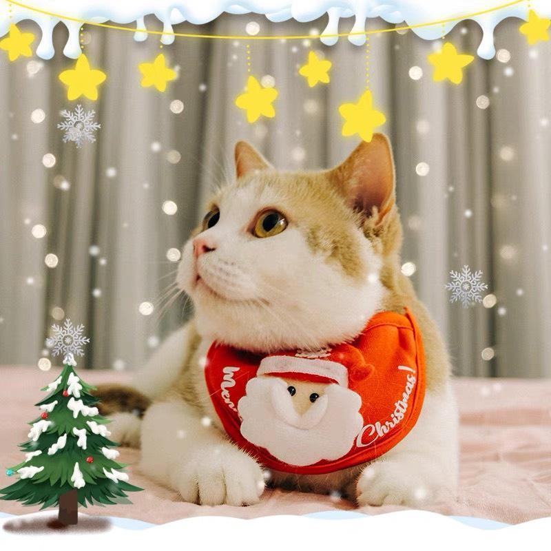 Mũ và yếm noel cho chó mèo - Thời trang chó mèo