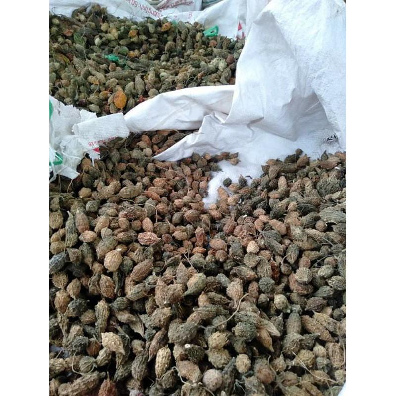 Khổ qua rừng nguyên trái hút chân không giảm mỡ máu hiệu quả