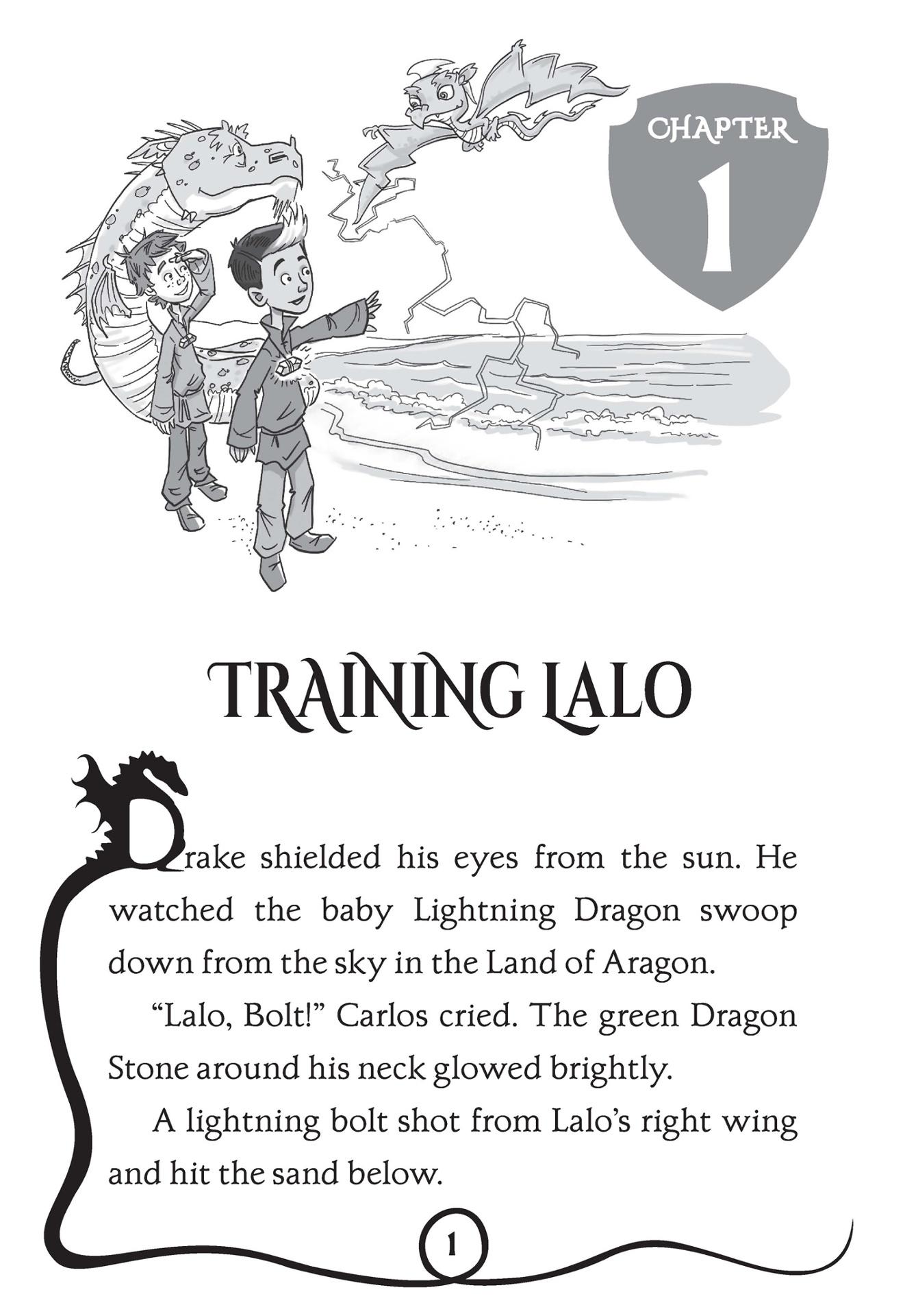Sách ngoại văn: Dragon Masters #22: Guarding The Invisible Dragons