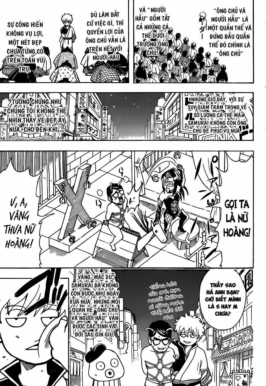 gintama - linh hồn bạc chapter 481 10
