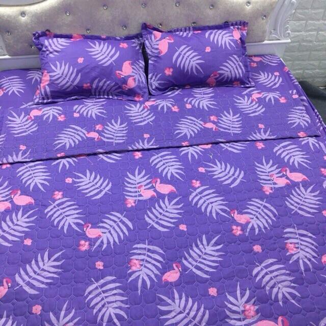 Set chăn ga hè poly kèm 2 vỏ gối đầu, 1 vỏ gối ôm