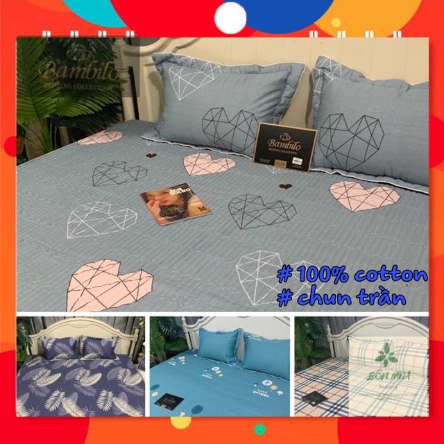Bộ ga trần bông bo chun Bambillo - cotton 100%, vừa đệm cao 15cm, đủ kích thước