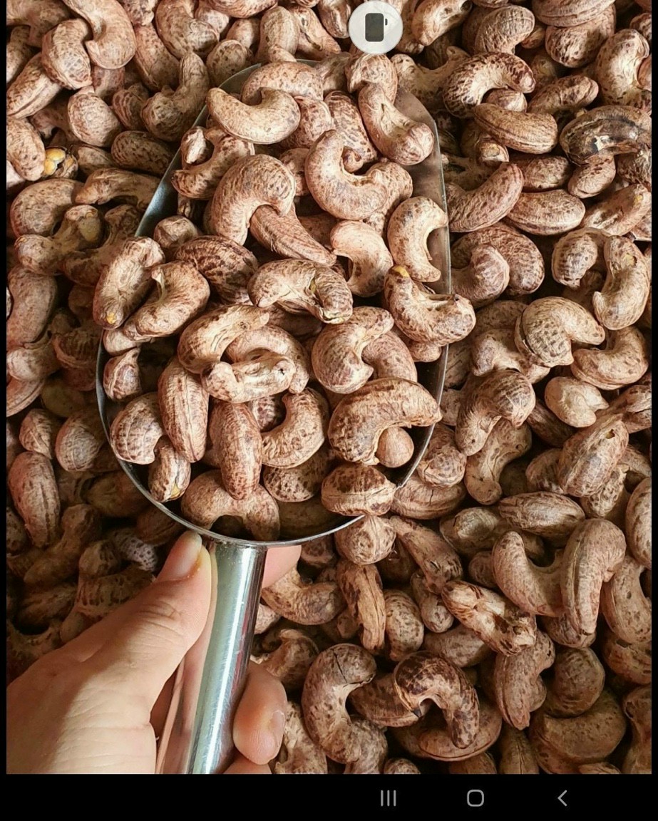 Hạt Điều vỏ lụa loại A Bình Phước