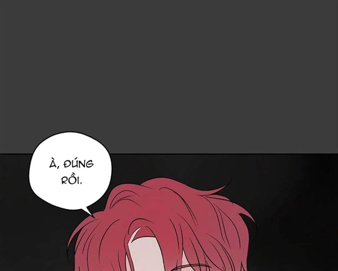 chuyện quái gì với giấc mơ đó vậy chapter 31 146