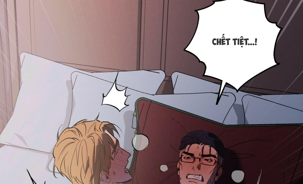 chàng dâu nhà họ kang chapter 23 72