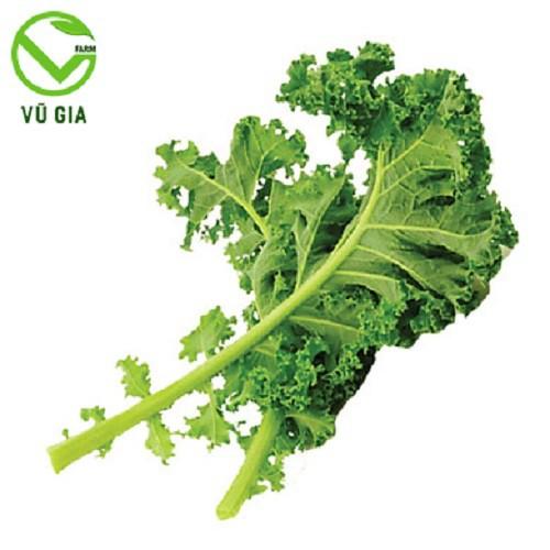 Bột Cải Xoăn Sấy Lạnh Nguyên Chất Vũ Gia (50g/ túi)