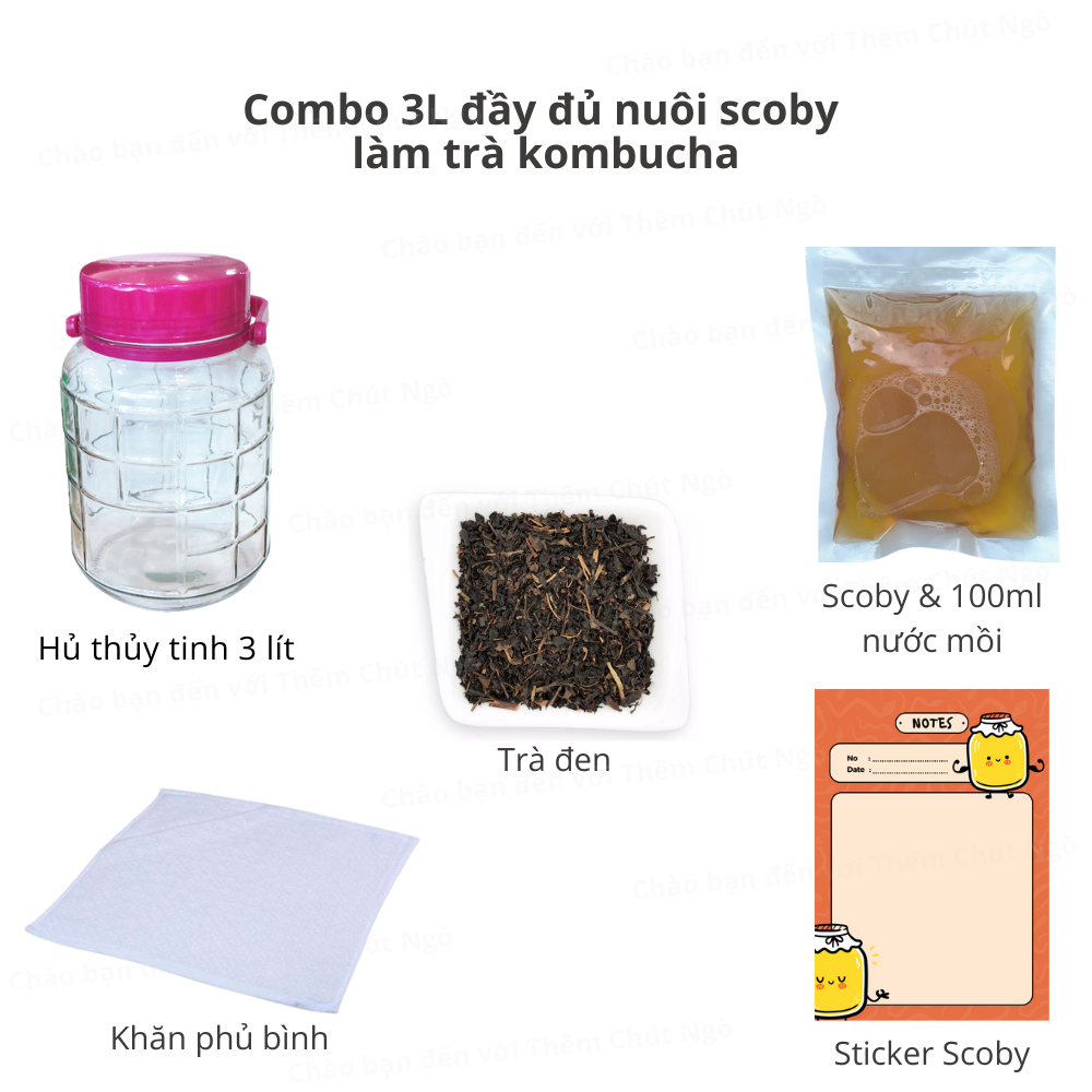 Combo 3L đầy đủ nuôi scoby làm trà kombucha (dùng để nuôi 2,5 lít)