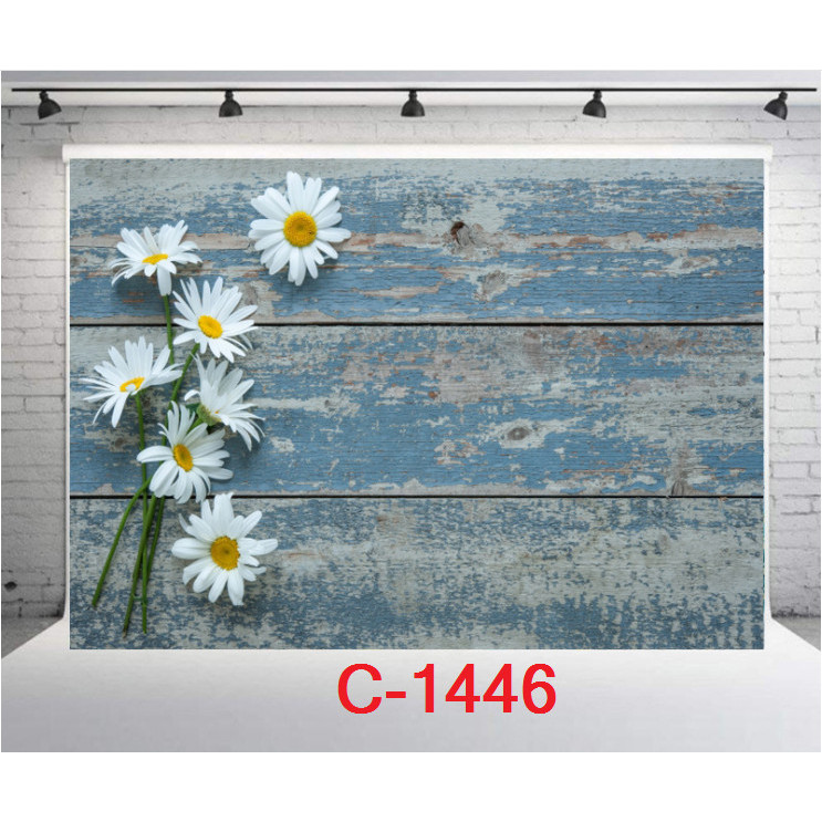 TẤM PHÔNG VẢI 3D CHỤP ẢNH kích thước 125x80cm Mẫu: C-1446