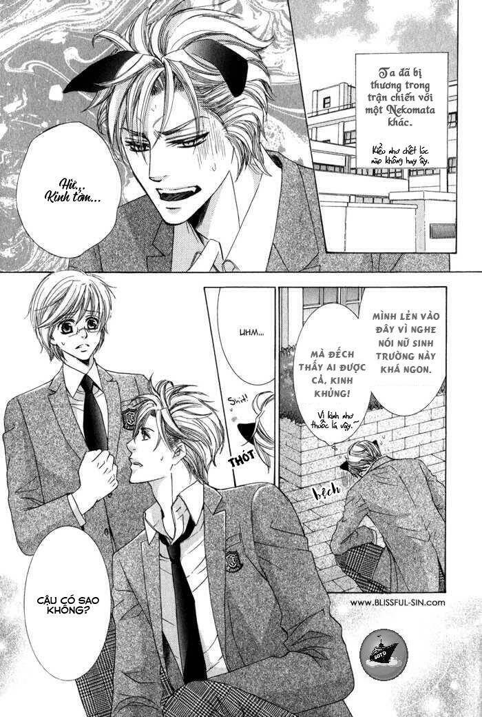 neko mata chapter 6 3