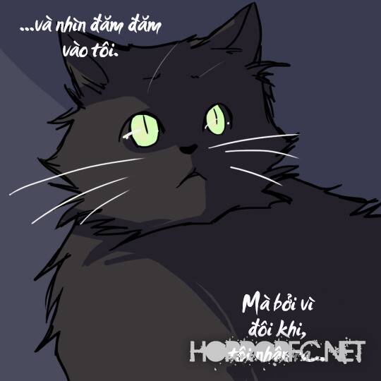 a cozy little horror corner of donnergrauen chapter 3 6