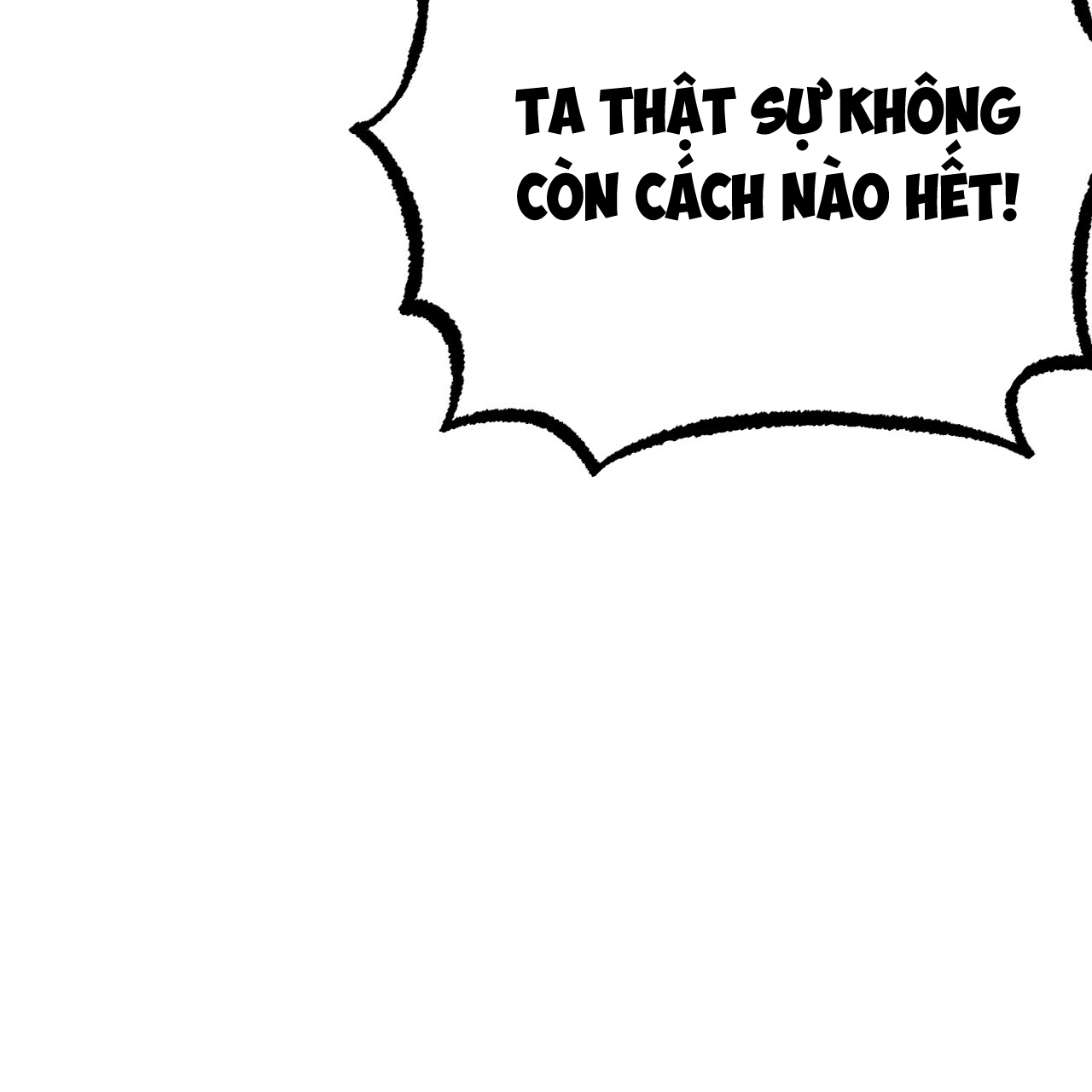 những chú thỏ của hapypy chapter 15 29