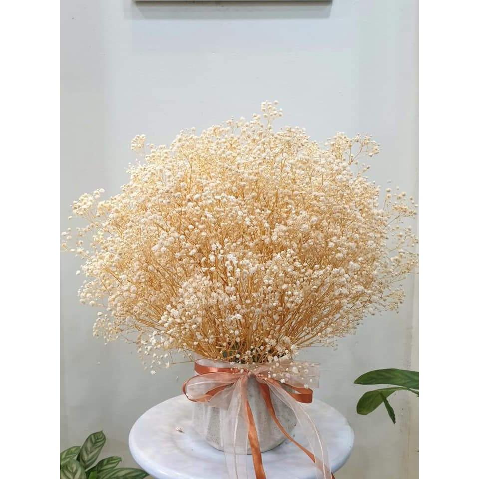 Hoa khô, bó 100 gr hoa baby bloom trang trí vintage, chụp ảnh nghệ thuật tuyệt đẹp