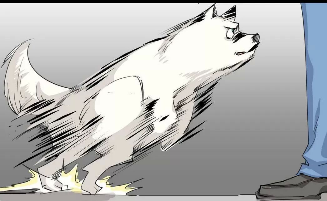 một con chó chapter 52 14