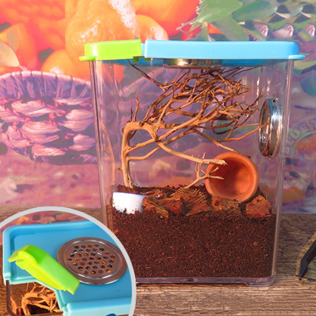 Plastic Transparent Reptile Pet Spider Scorpion Feeding Breeding Box Case