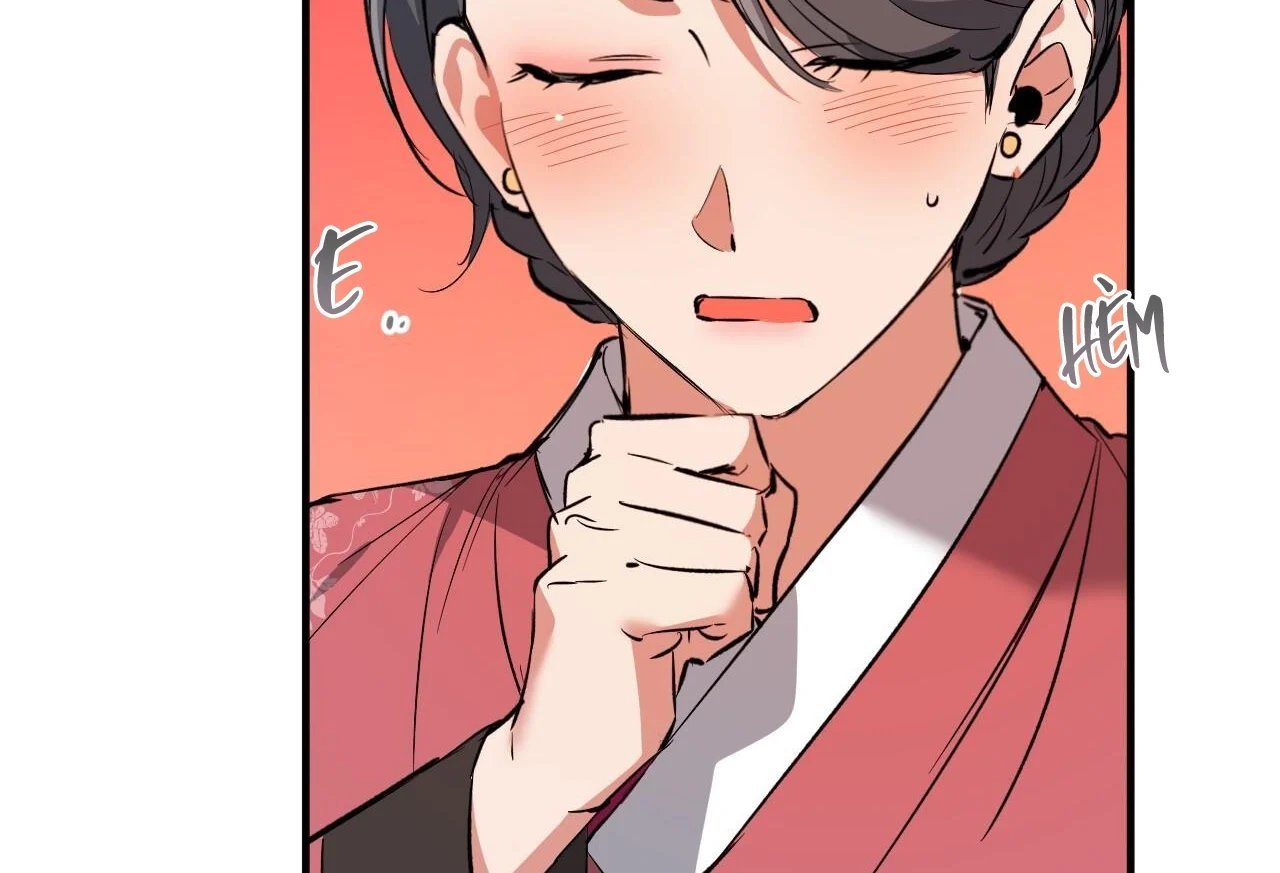 những chú thỏ của hapypy chapter 65 163