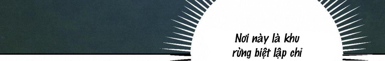 khu rừng tĩnh lặng chapter 7 77