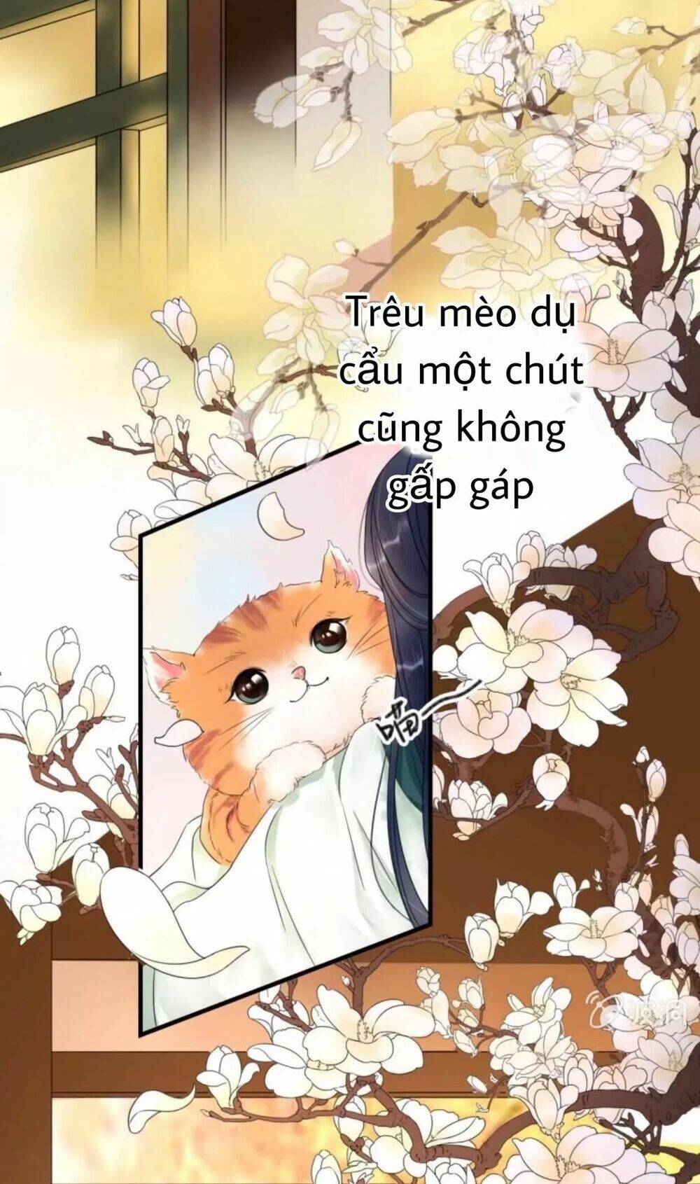 sủng phi của vương chapter 66 2