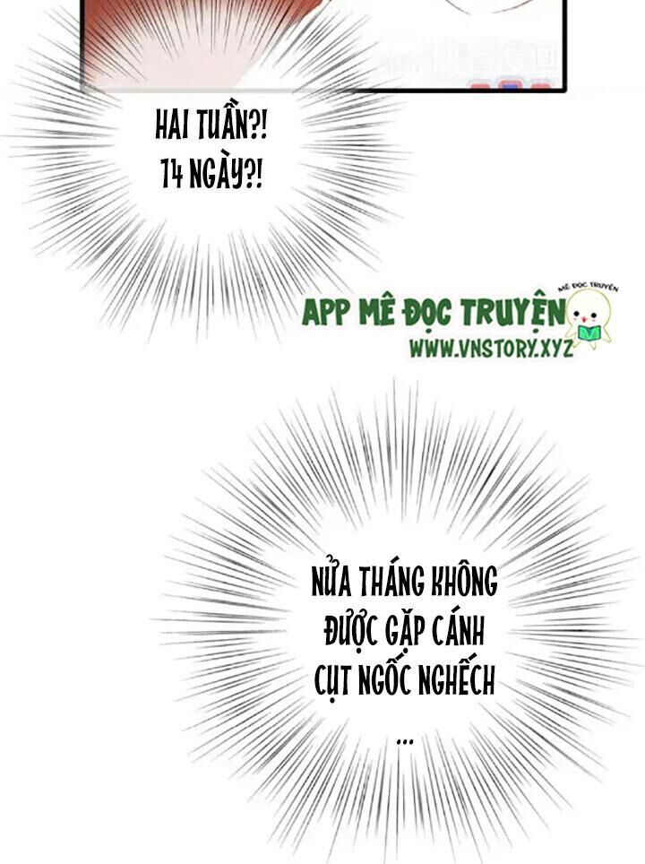 con tim rung động 2 chapter 61 28