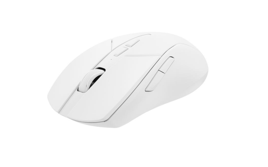 Chuột Không Dây Gaming Rapoo V300SE - Hàng Chính Hãng