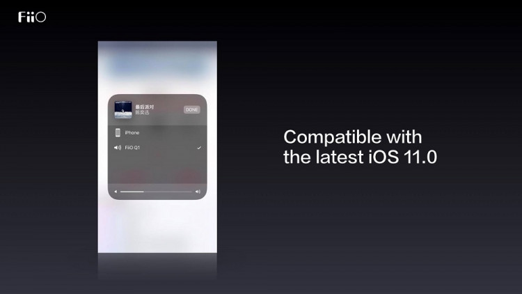 Cổng input: 1 cổng 3,5 aux line in dành cho phần ampli, và 1 cổng micro USB để nhận tín hiệu digital hoạt động trên iOS 10.3 và ngay cả iOS 11.0 sắp được giới thiệu.