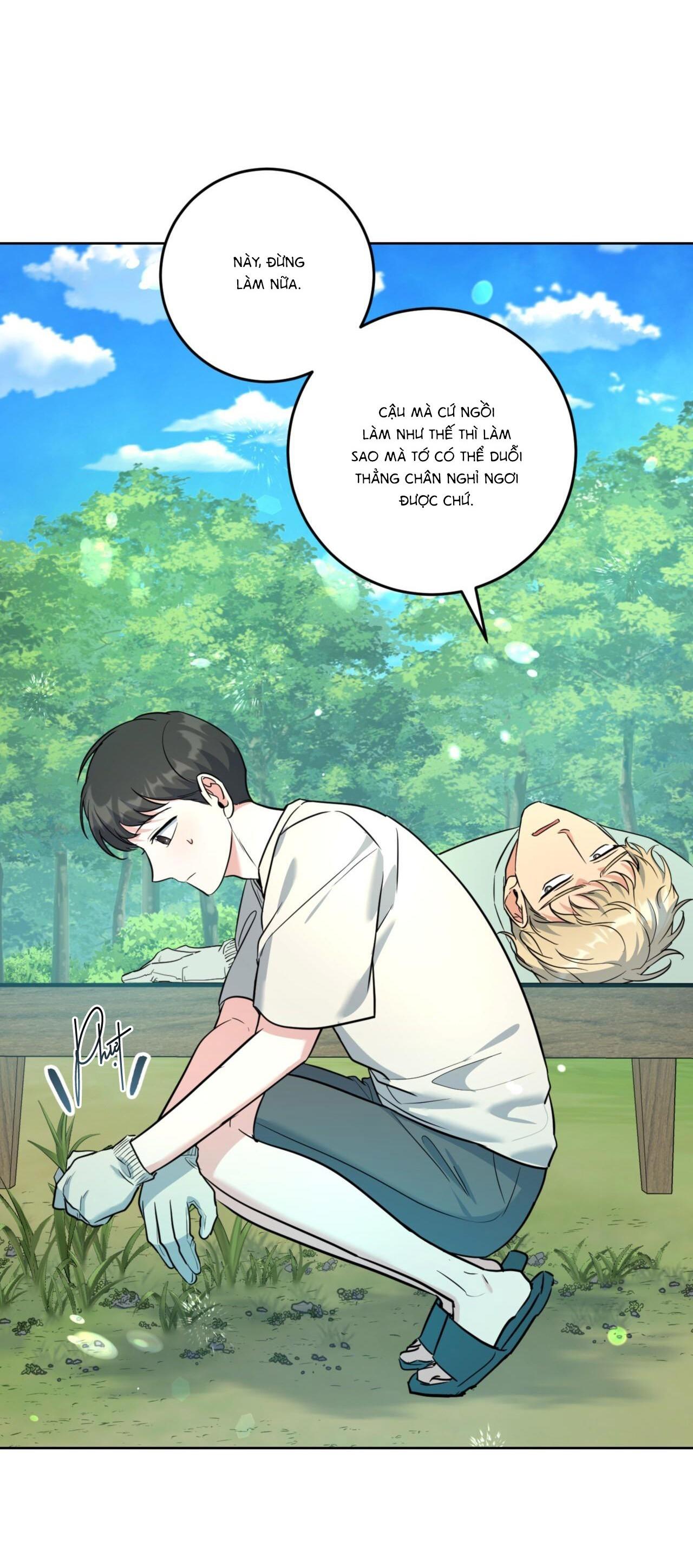 khu rừng tĩnh lặng chapter 15 2