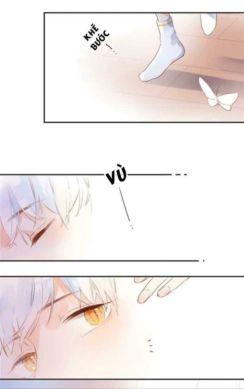 sos! tôi đã yêu một con sâu bướm (phần 2) chapter 55 64