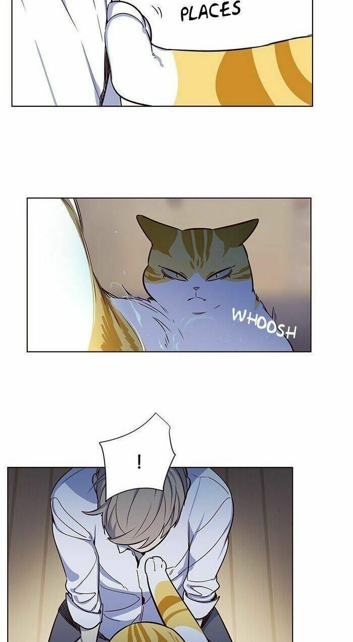 biến thân thành mèo chapter 8 43