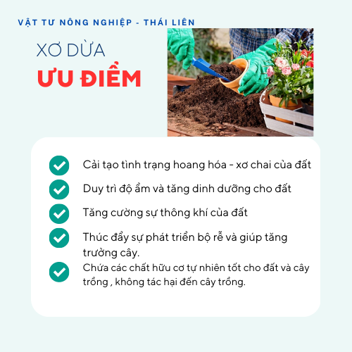 2 Kg Mụn Xơ Dừa Trồng Rau, Hoa Kiểng giá thể trồng cây - Ươm hạt giống, rau mầm