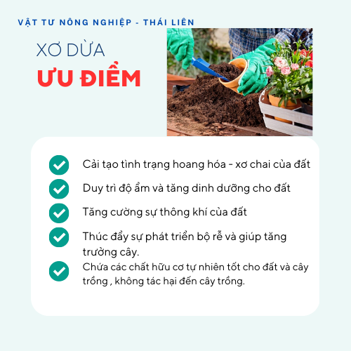 2 Kg Mụn Xơ Dừa Trồng Rau, Hoa Kiểng giá thể trồng cây - Ươm hạt giống, rau mầm (Đã Qua Xử Lý)