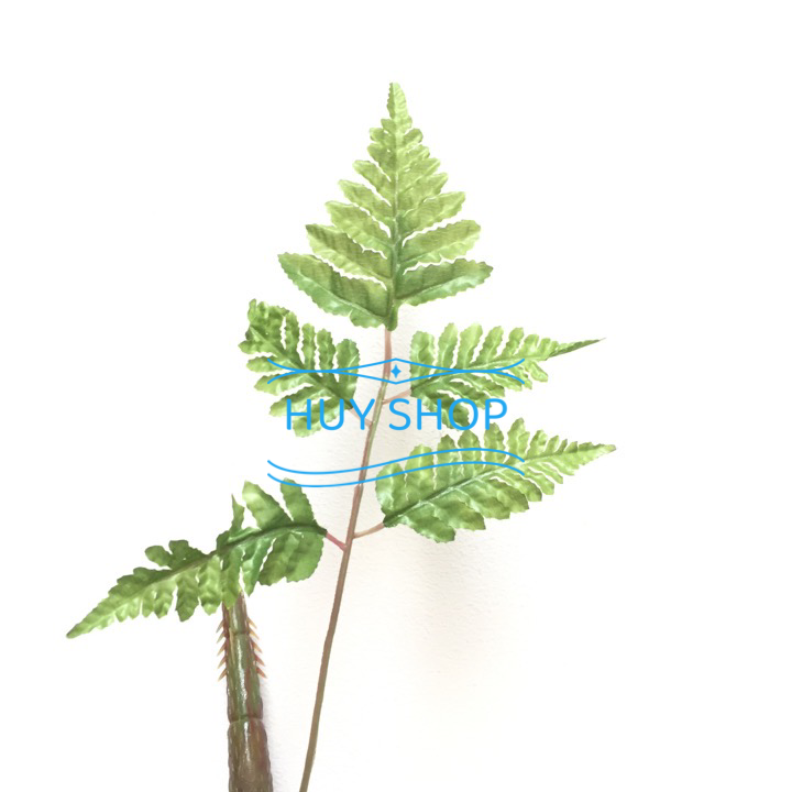 HOA CỎ NHÂN TẠO - BỤI LÁ DƯƠNG XỈ TRANG TRÍ BACKGROUND